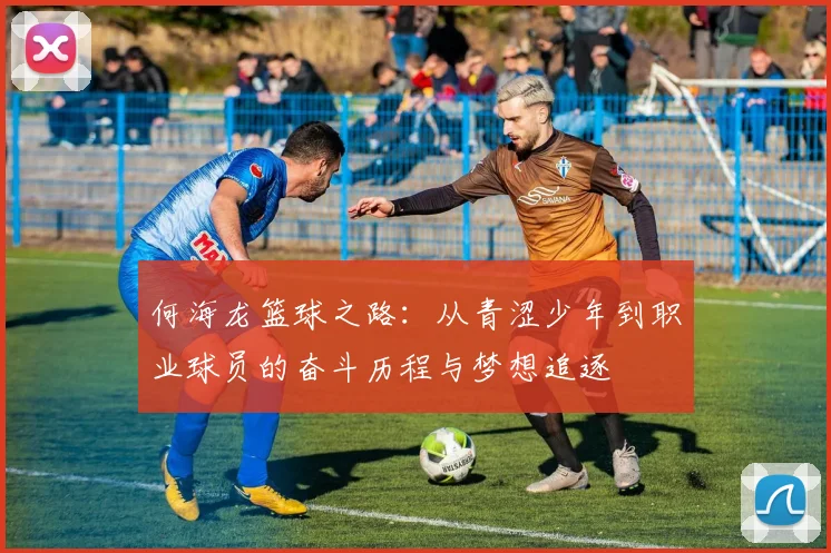 何海龙篮球之路：从青涩少年到职业球员的奋斗历程与梦想追逐