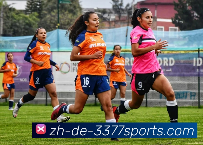 3377Sports平台生态图